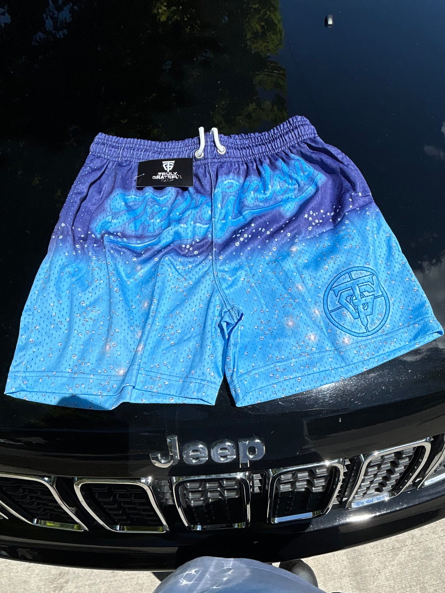 Blue Grateful Mesh Shorts